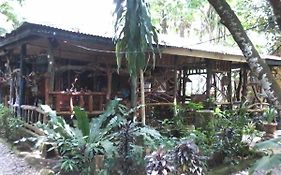 Mega Inn